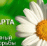 СЕГОДНЯ ОТМЕЧАЕТСЯ ВСЕМИРНЫЙ ДЕНЬ БОРЬБЫ С ТУБЕРКУЛЕЗОМ - Ruzaevka-rm.Ru