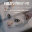 Хорошие дела вместе и вслух! - Рузаевские новости